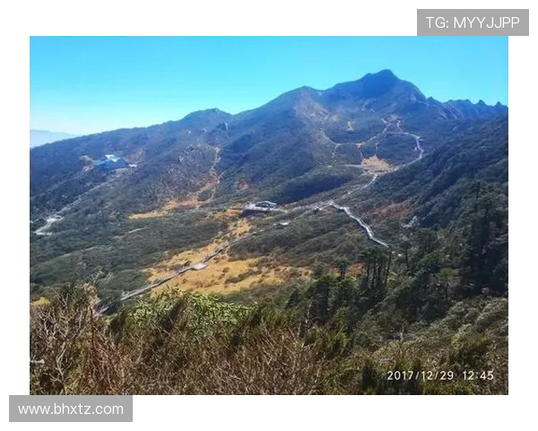 阿维兰热时代世界杯假球疑云与权力博弈内幕揭秘风波真相调查全景解析